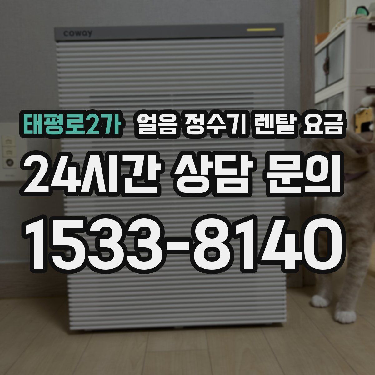태평로2가 얼음 정수기 렌탈 요금