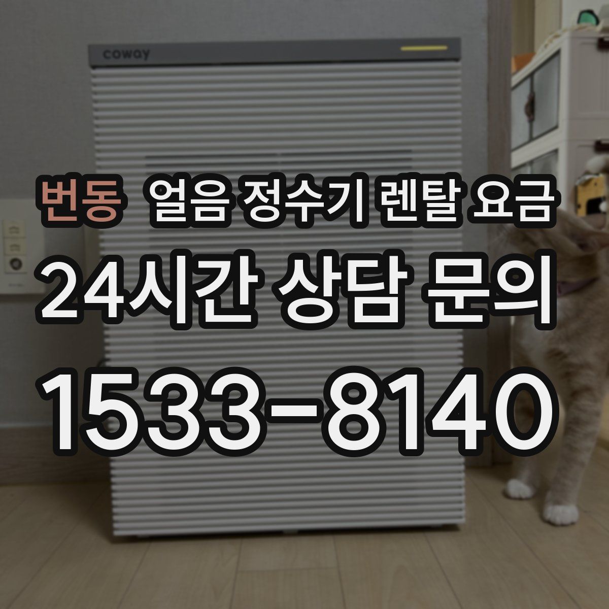 번동 얼음 정수기 렌탈 요금