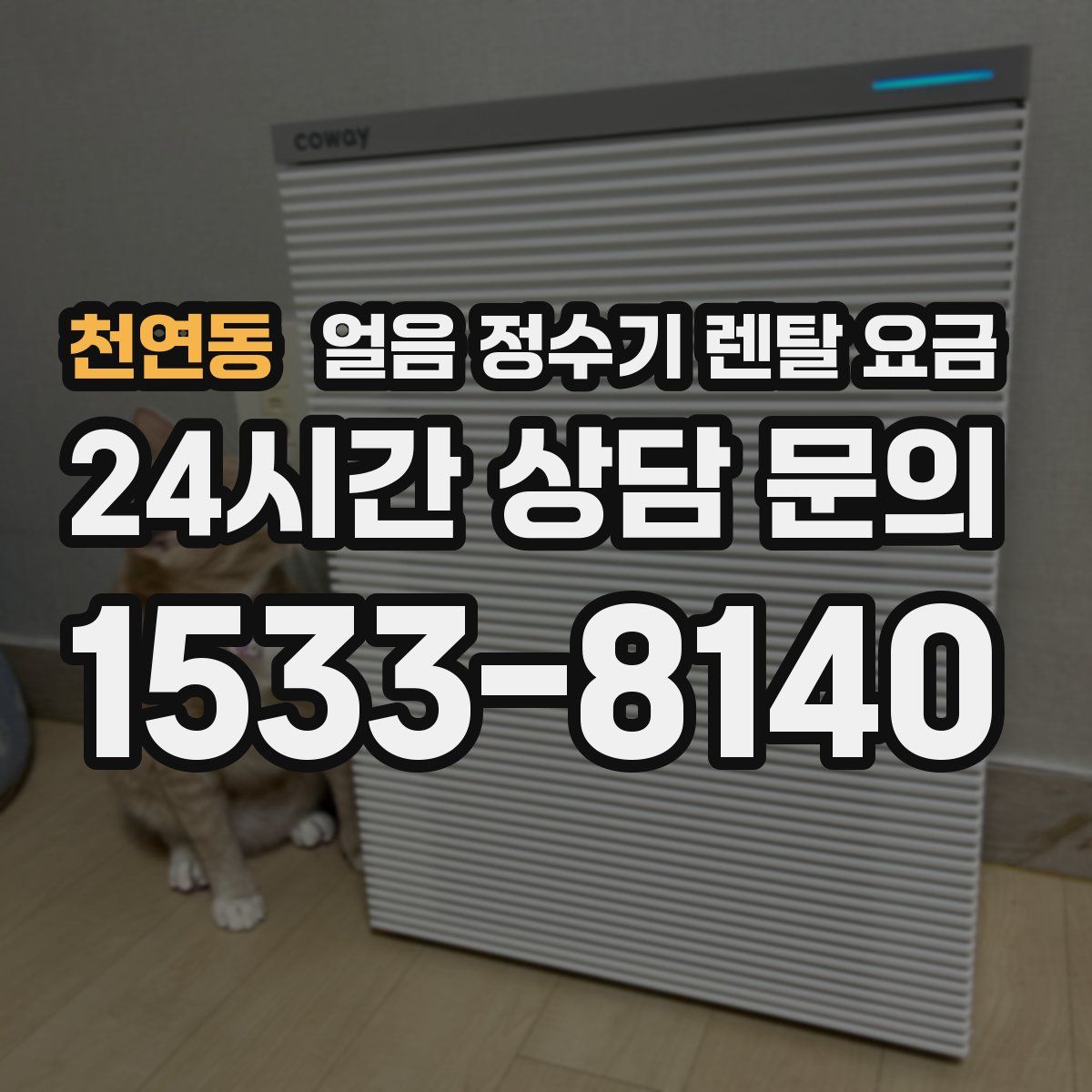 천연동 얼음 정수기 렌탈 요금