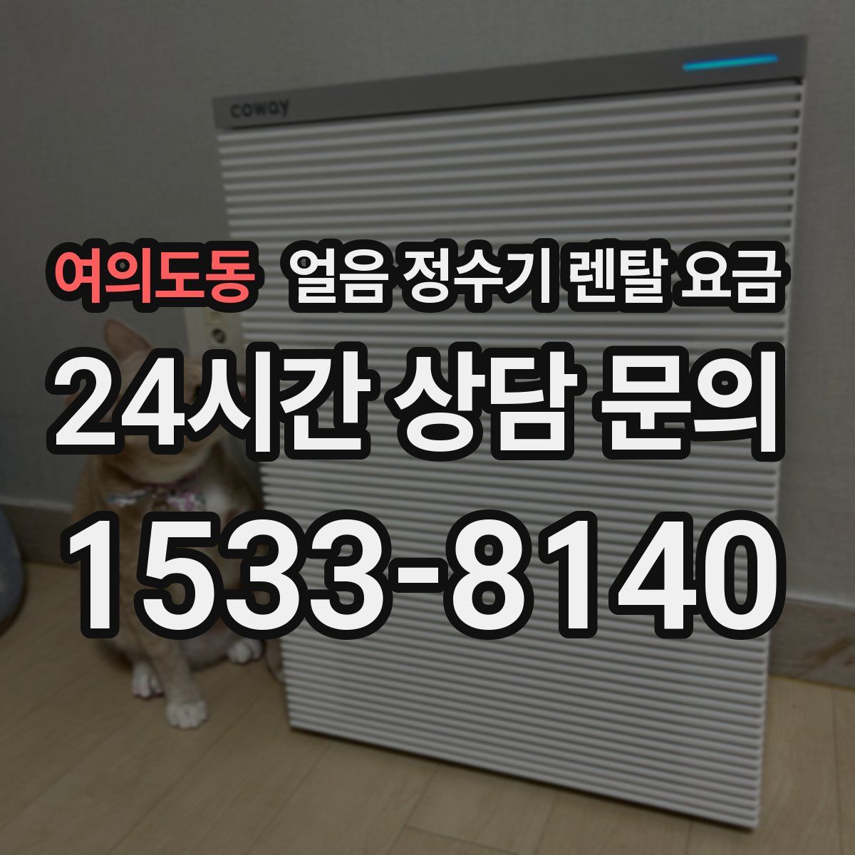 여의도동 얼음 정수기 렌탈 요금
