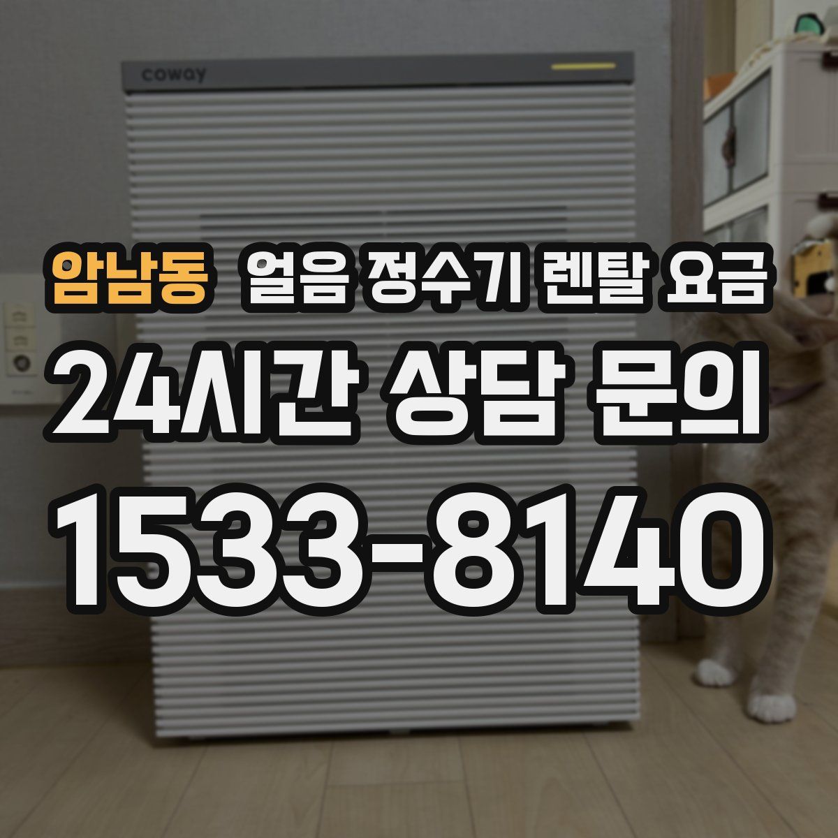 암남동 얼음 정수기 렌탈 요금