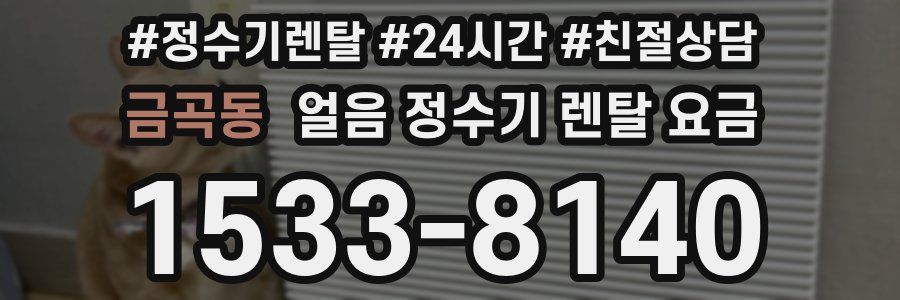 금곡동 얼음 정수기 렌탈 요금