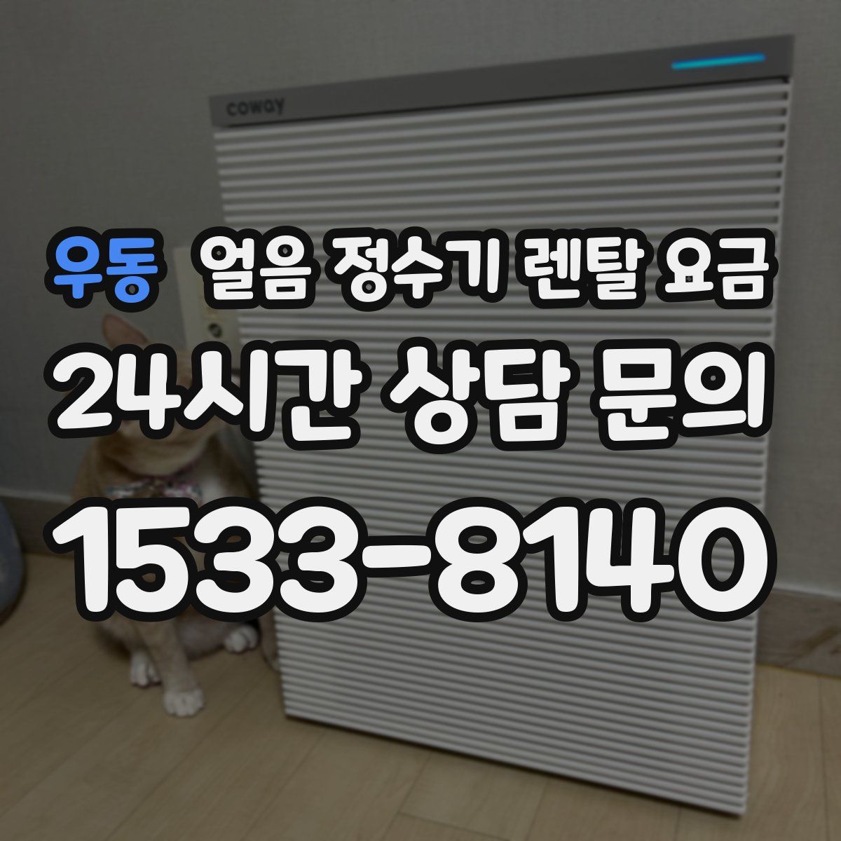 우동 얼음 정수기 렌탈 요금