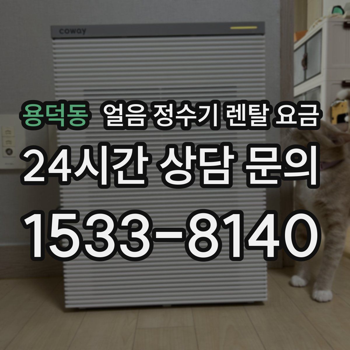 용덕동 얼음 정수기 렌탈 요금