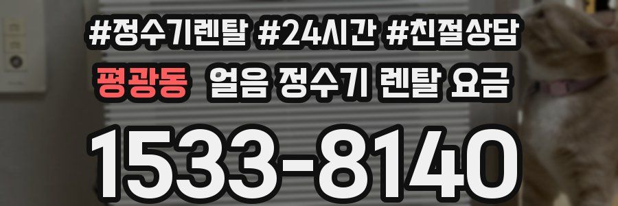 평광동 얼음 정수기 렌탈 요금