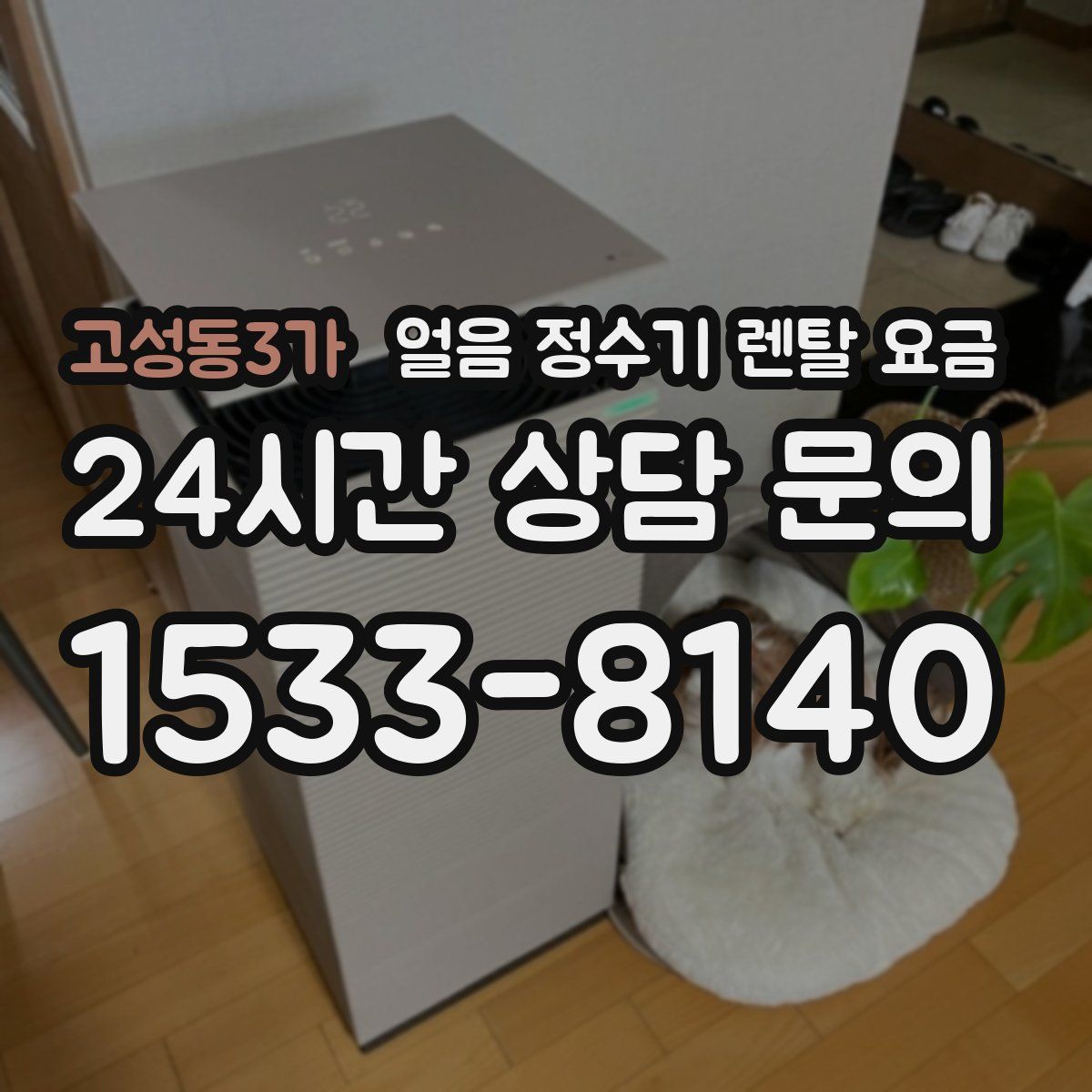 고성동3가 얼음 정수기 렌탈 요금