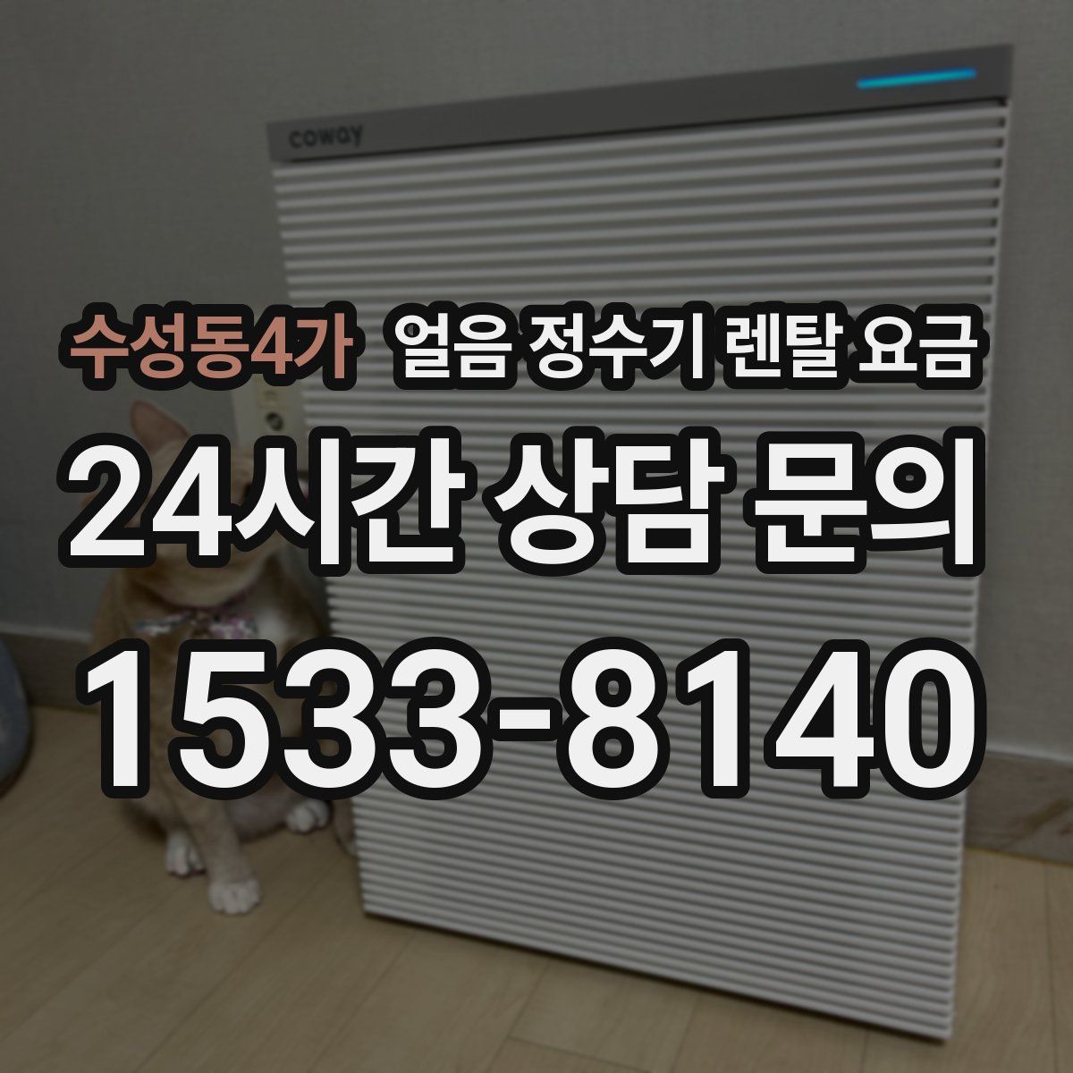 수성동4가 얼음 정수기 렌탈 요금