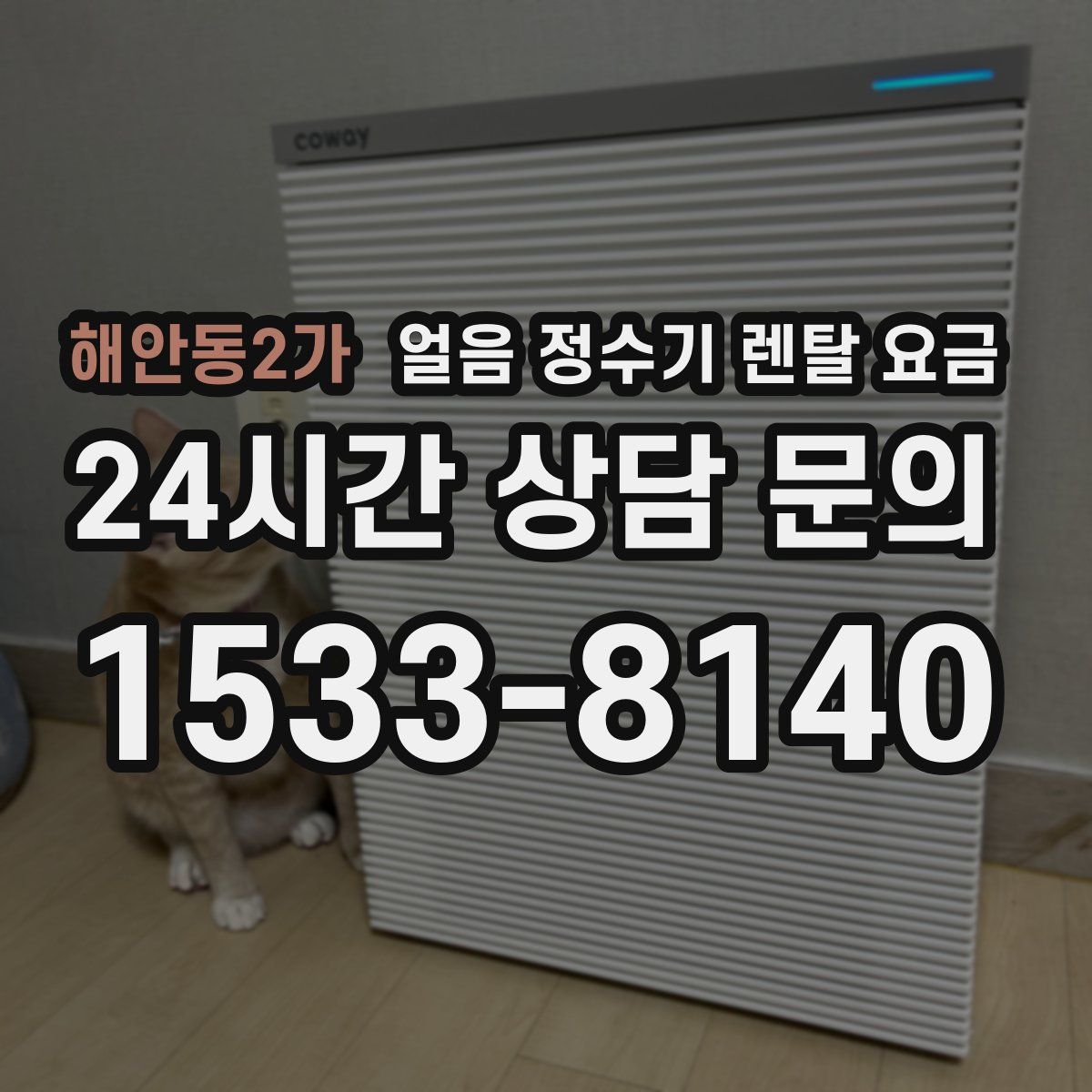 해안동2가 얼음 정수기 렌탈 요금