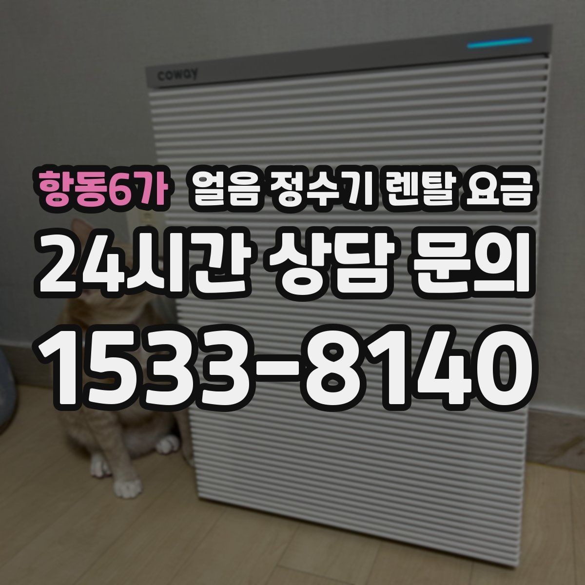 항동6가 얼음 정수기 렌탈 요금 얼음 생성 방식에 따른 차이