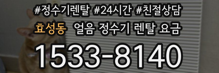 효성동 얼음 정수기 렌탈 요금
