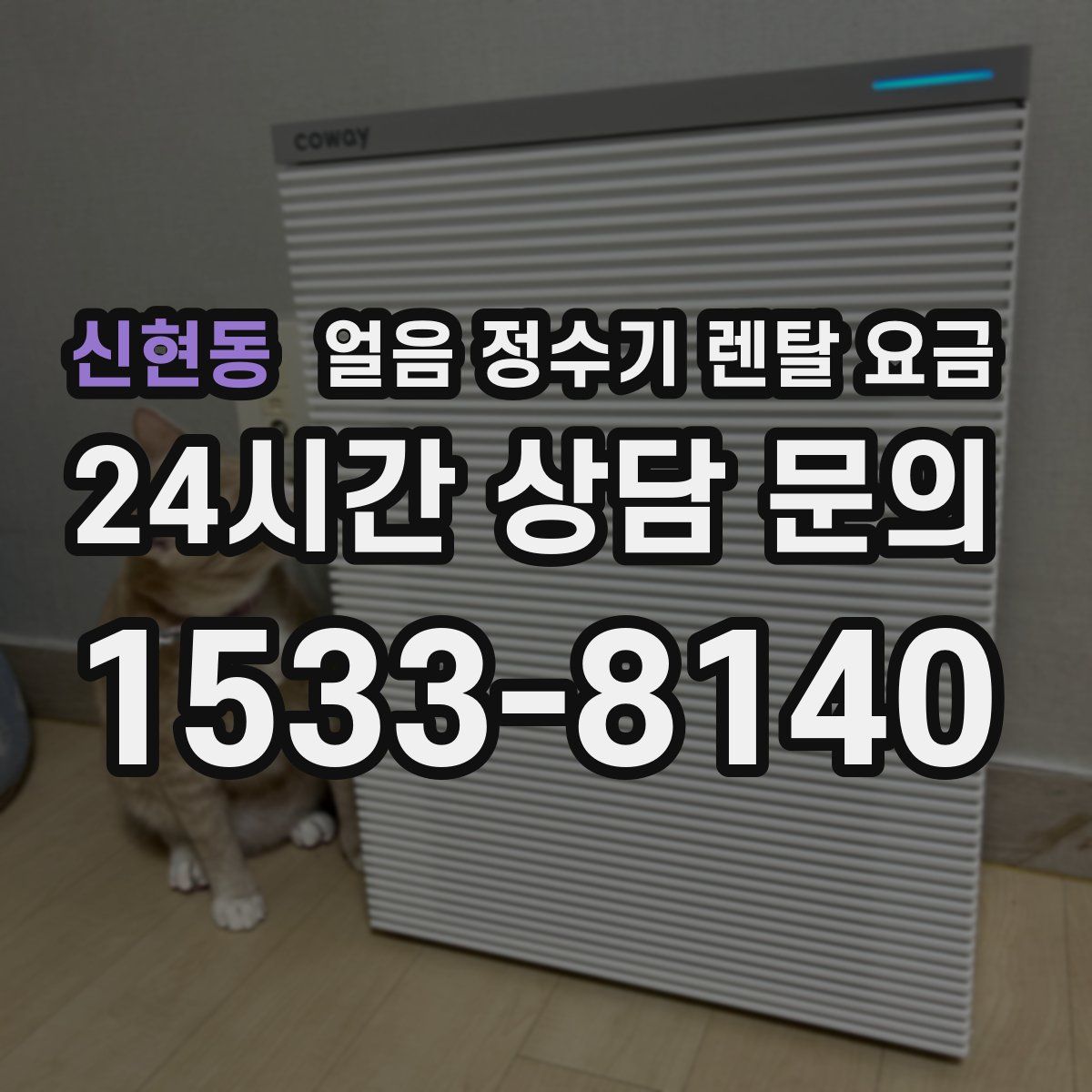 신현동 얼음 정수기 렌탈 요금