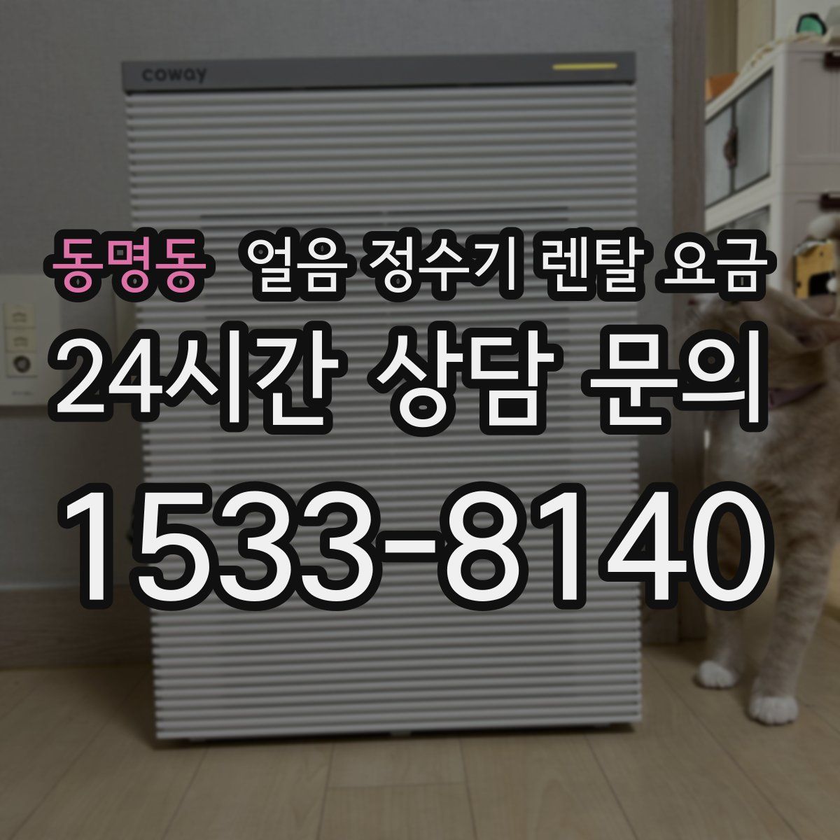 동명동 얼음 정수기 렌탈 요금