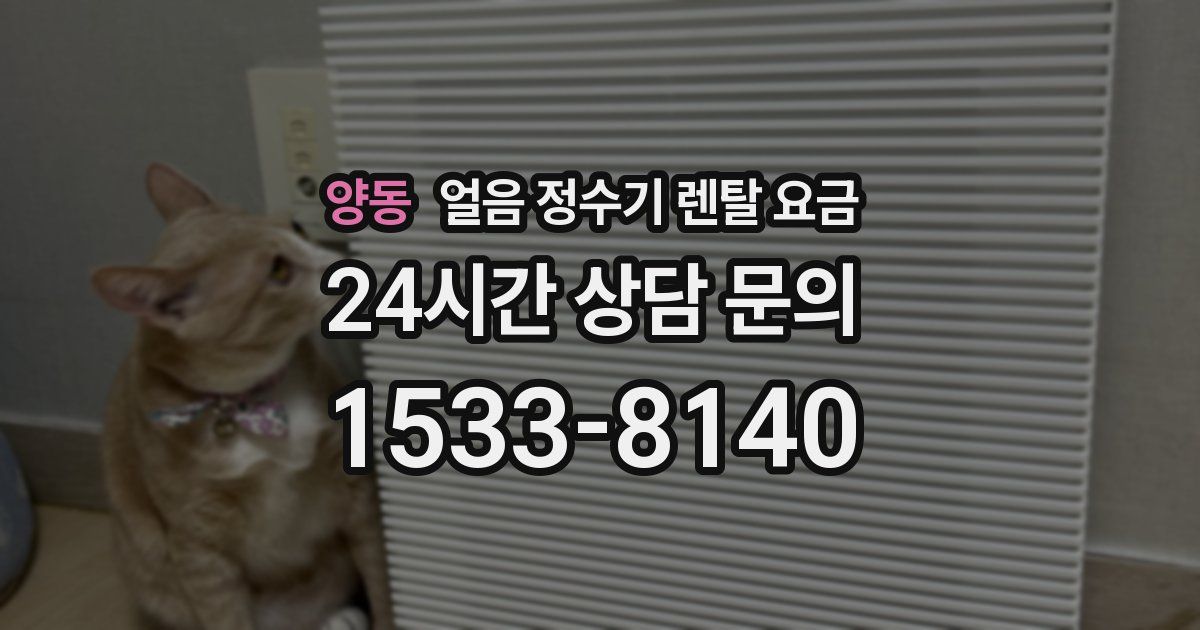양동 얼음 정수기 렌탈 요금