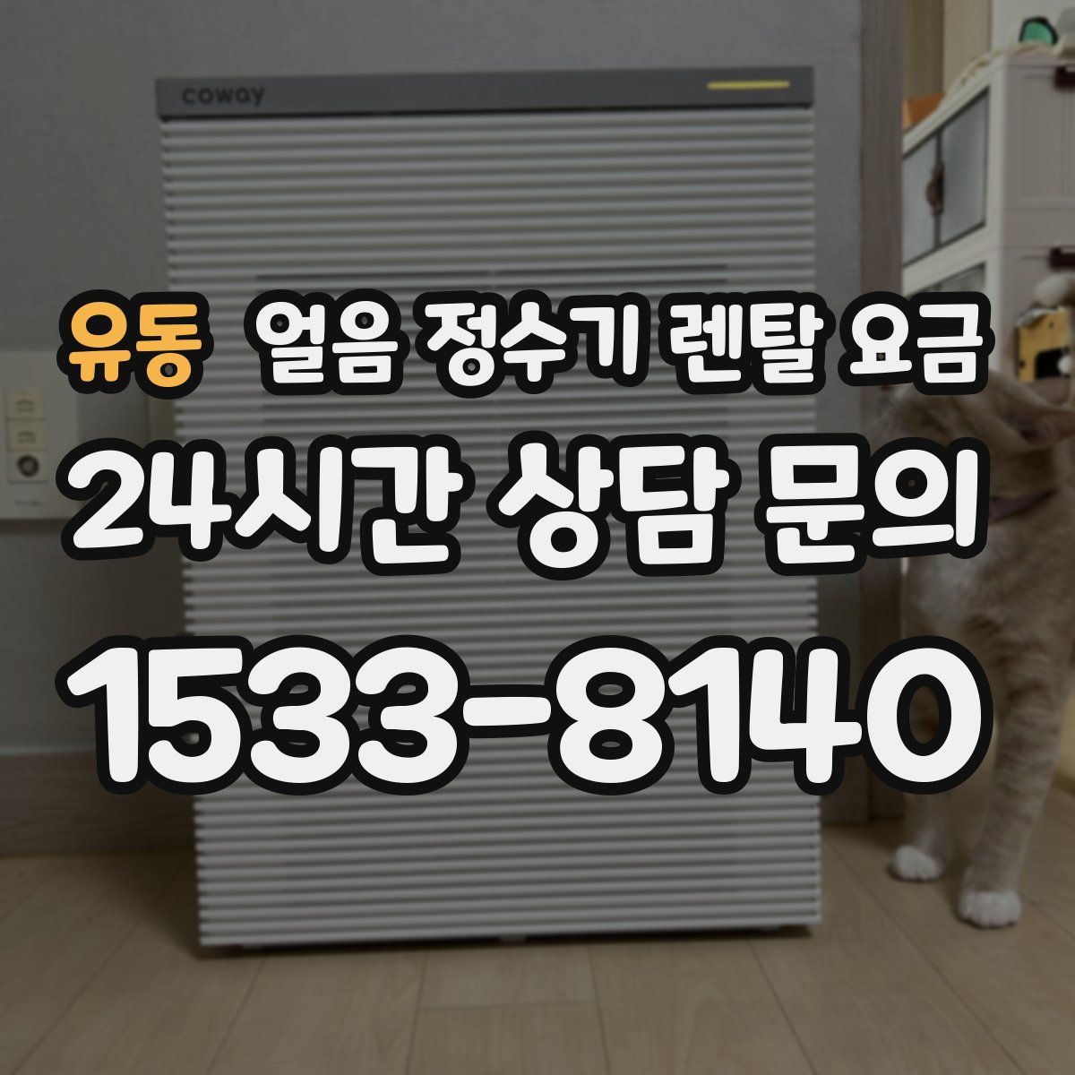 유동 얼음 정수기 렌탈 요금