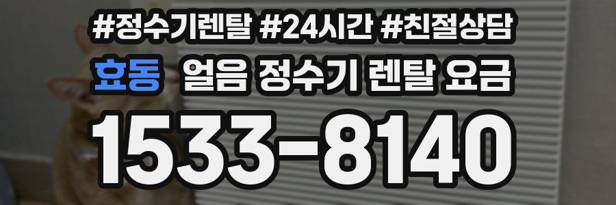 효동 얼음 정수기 렌탈 요금