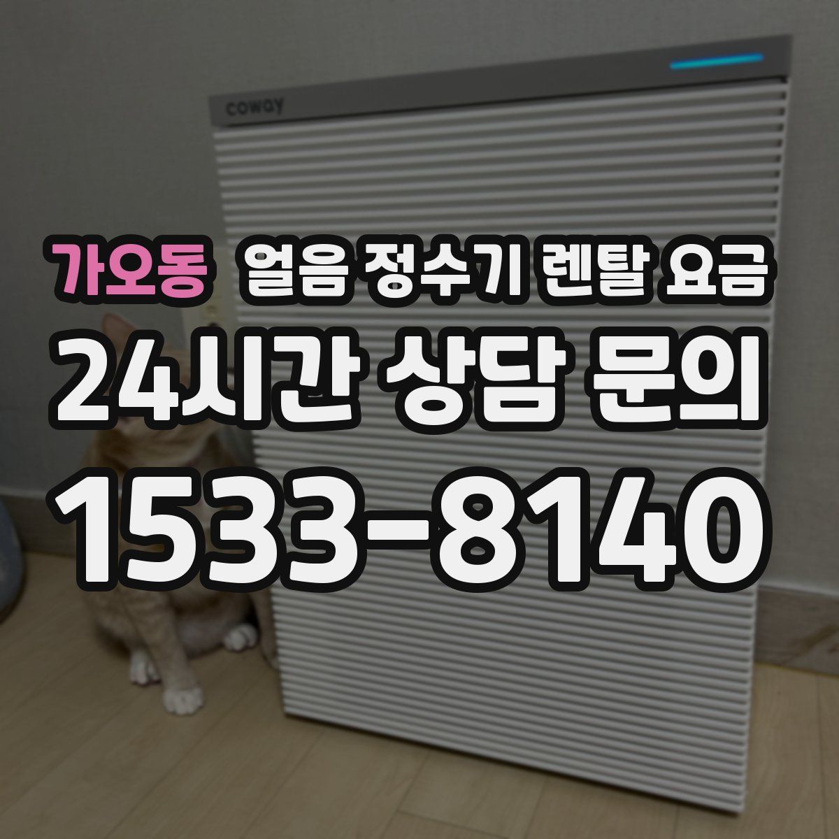 가오동 얼음 정수기 렌탈 요금