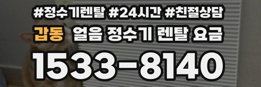 갑동 얼음 정수기 렌탈 요금