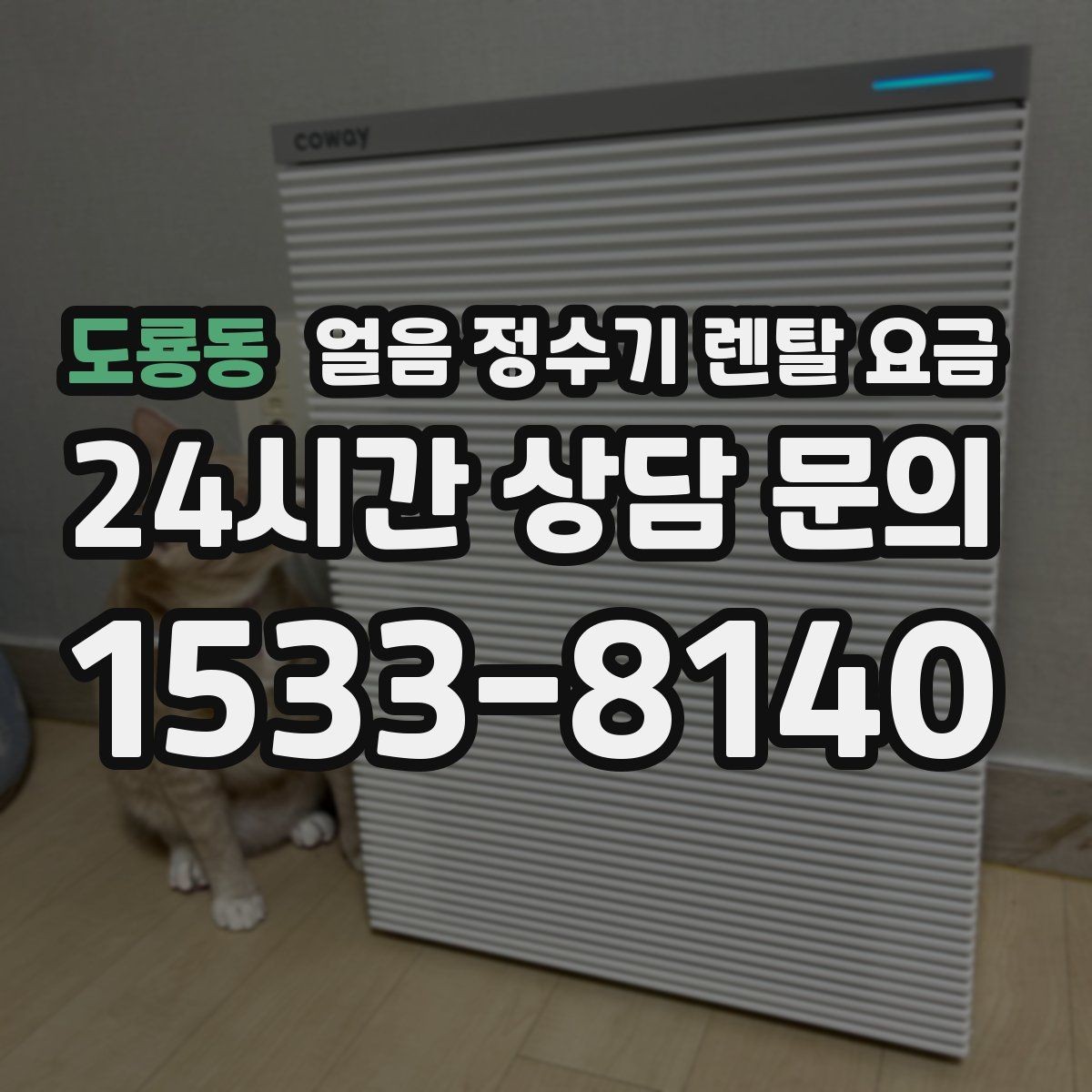 도룡동 얼음 정수기 렌탈 요금 필수 기능만 선택하는 기준
