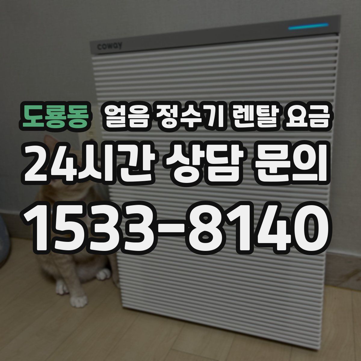 도룡동 얼음 정수기 렌탈 요금