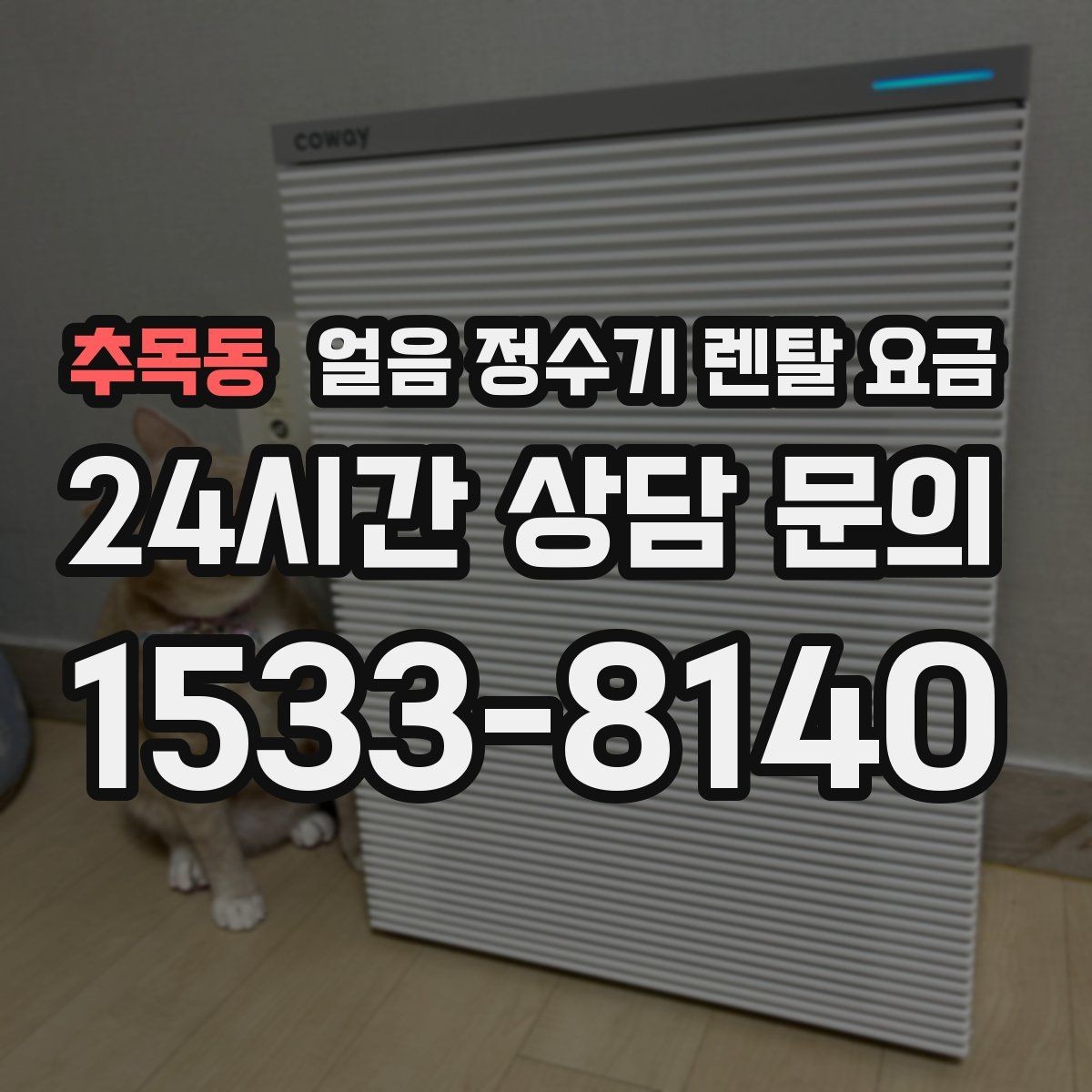 추목동 얼음 정수기 렌탈 요금 사은품보다 중요한 기준 정리