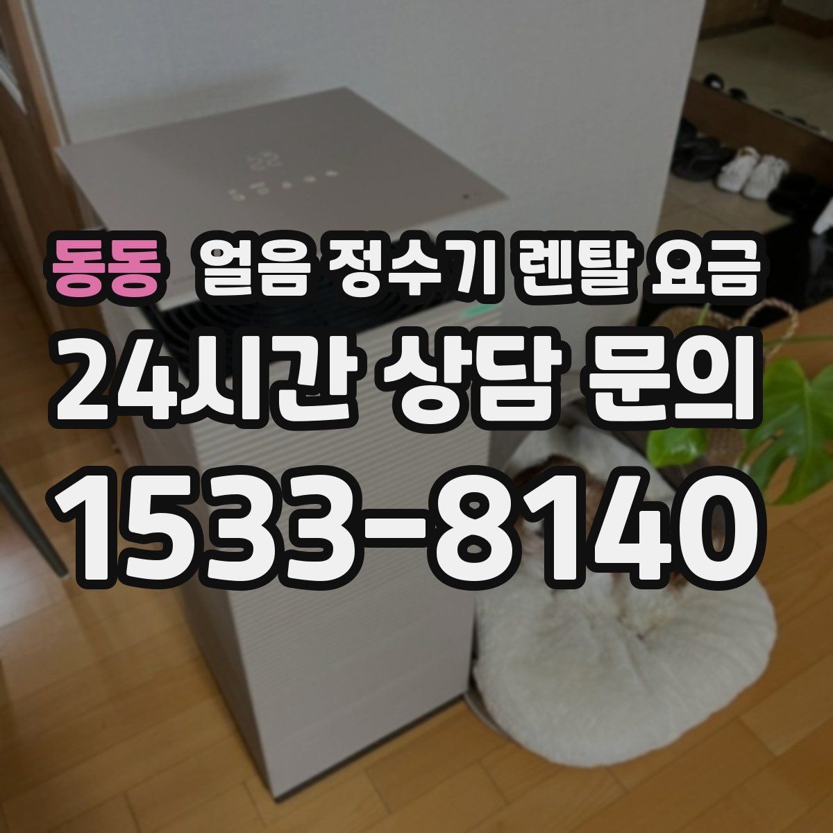 동동 얼음 정수기 렌탈 요금 얼음 저장 용량에 따른 차이