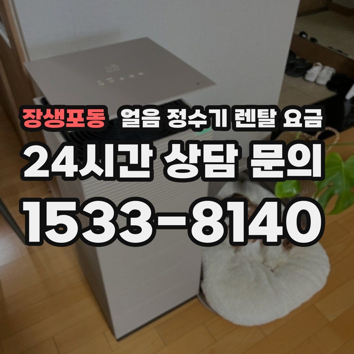 장생포동 얼음 정수기 렌탈 요금 지금 선택할 때 중요한 포인트 정리