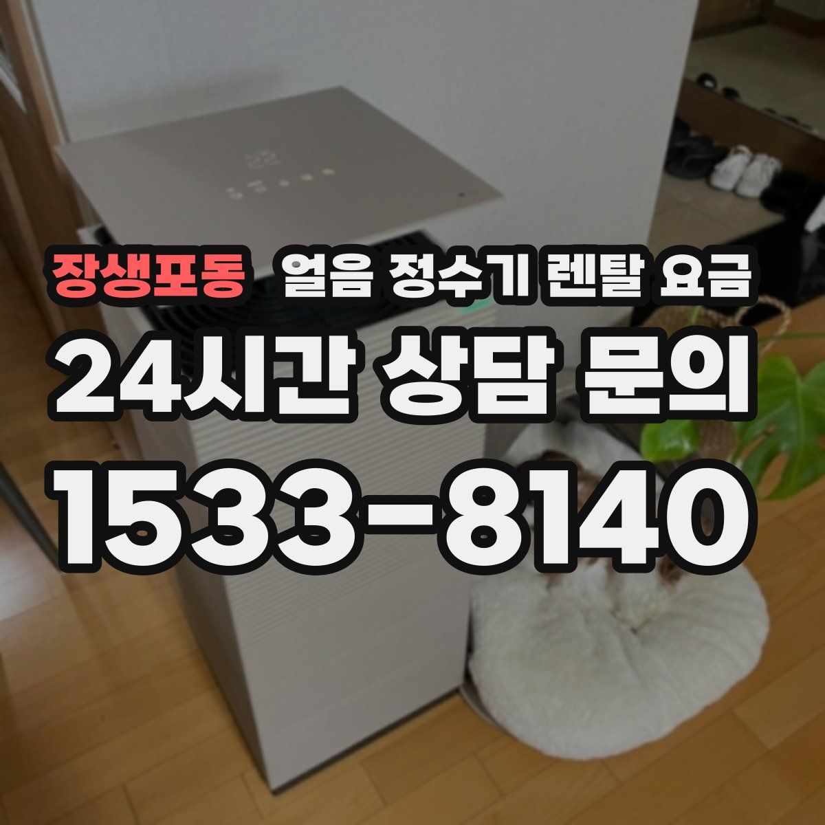 장생포동 얼음 정수기 렌탈 요금