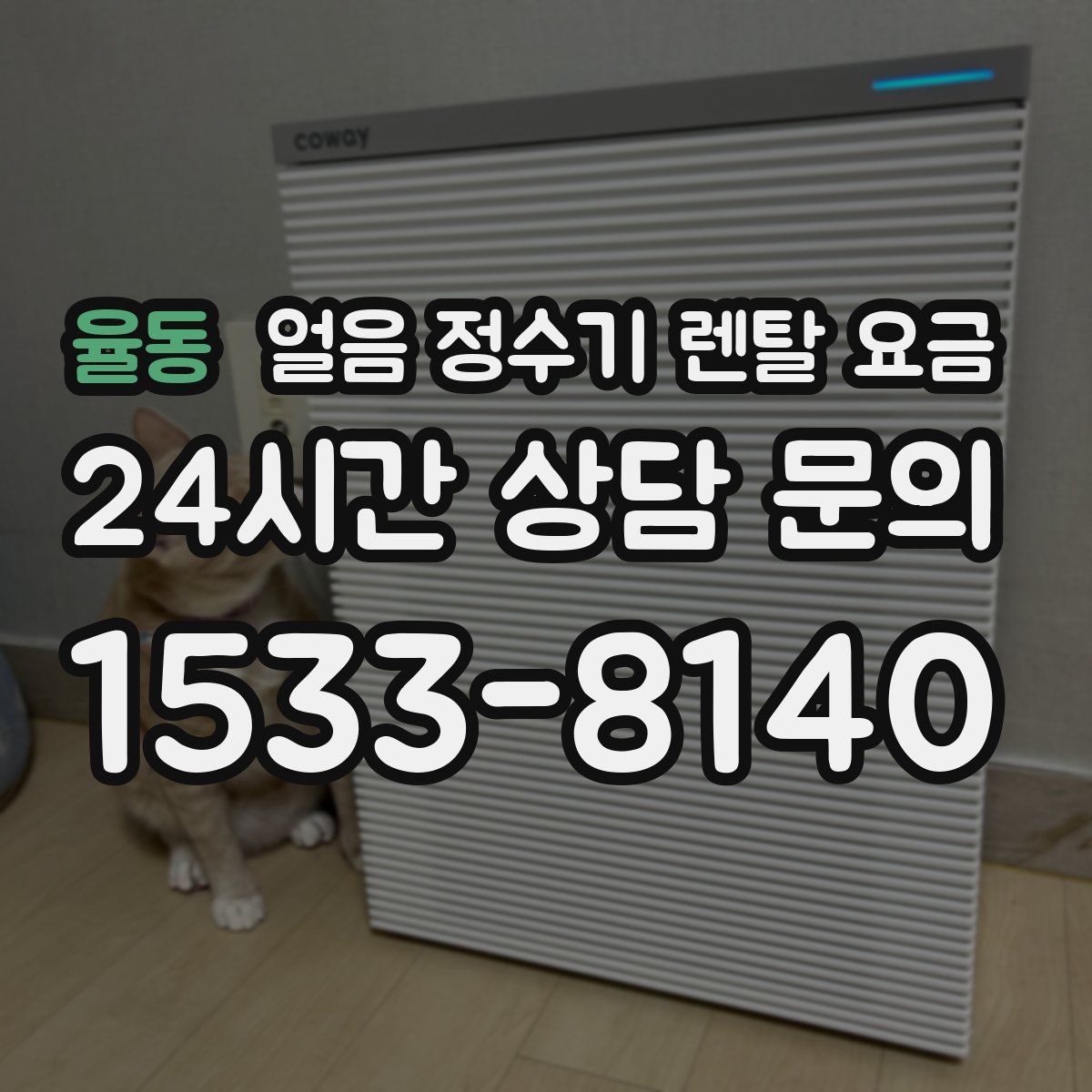 율동 얼음 정수기 렌탈 요금