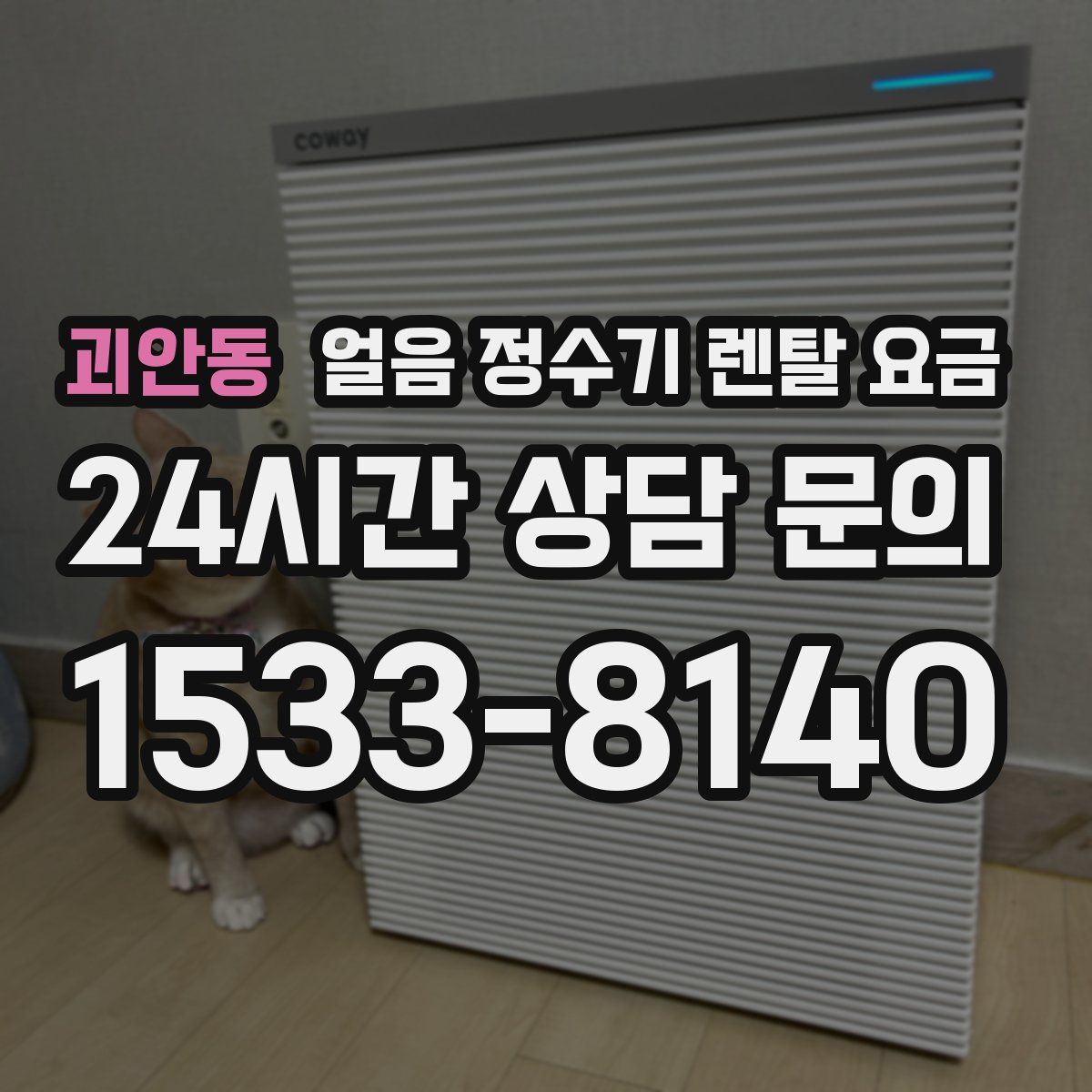 괴안동 얼음 정수기 렌탈 요금