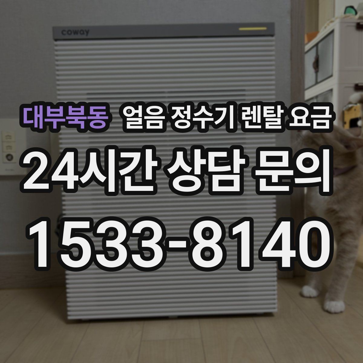 대부북동 얼음 정수기 렌탈 요금 기본 조건이 중요한 이유