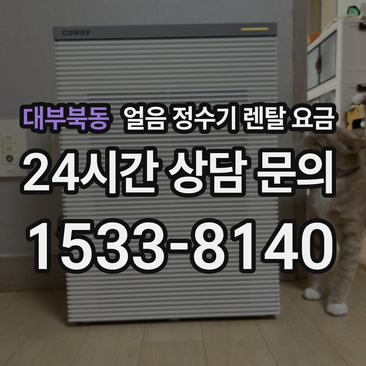 대부북동 얼음 정수기 렌탈 요금