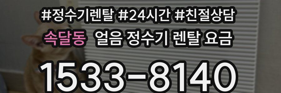 속달동 얼음 정수기 렌탈 요금