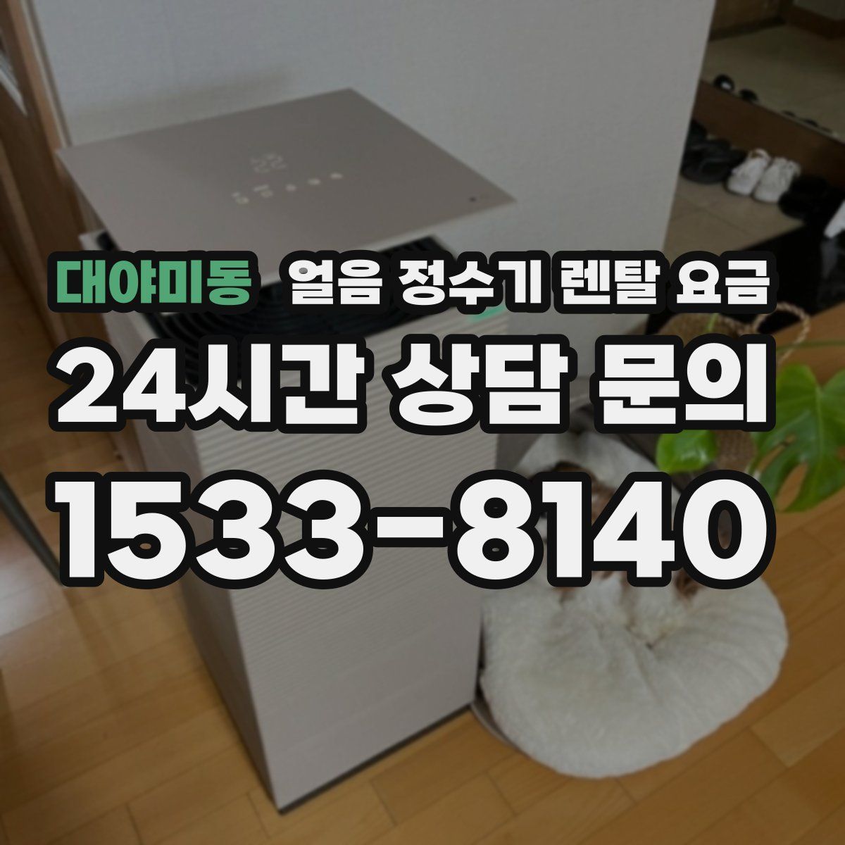 대야미동 얼음 정수기 렌탈 요금
