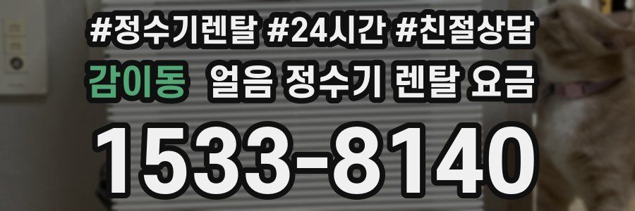 감이동 얼음 정수기 렌탈 요금