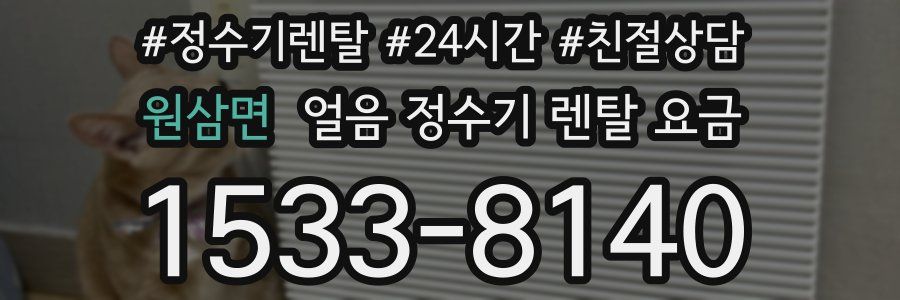 원삼면 얼음 정수기 렌탈 요금
