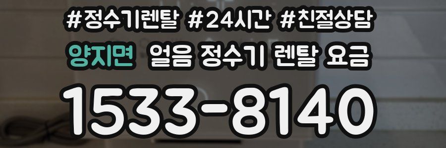 양지면 얼음 정수기 렌탈 요금