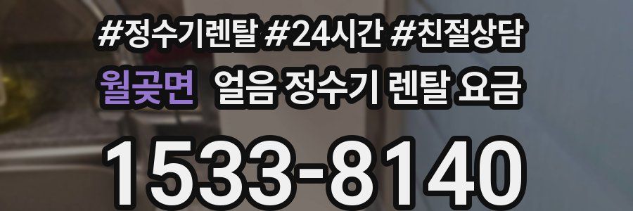 월곶면 얼음 정수기 렌탈 요금