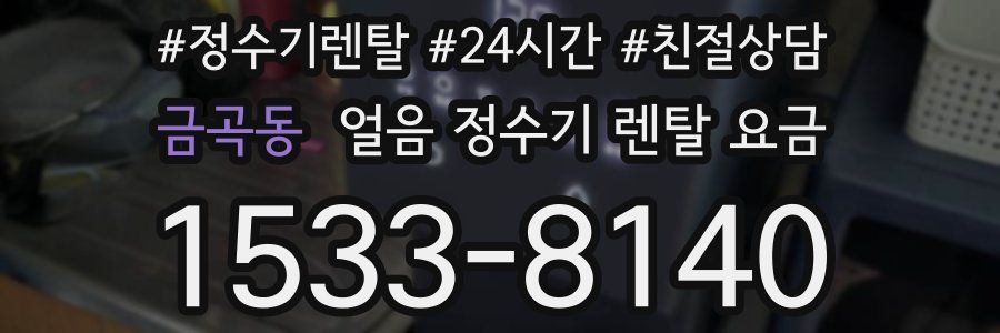 금곡동 얼음 정수기 렌탈 요금