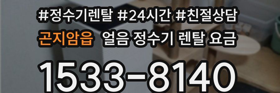 곤지암읍 얼음 정수기 렌탈 요금