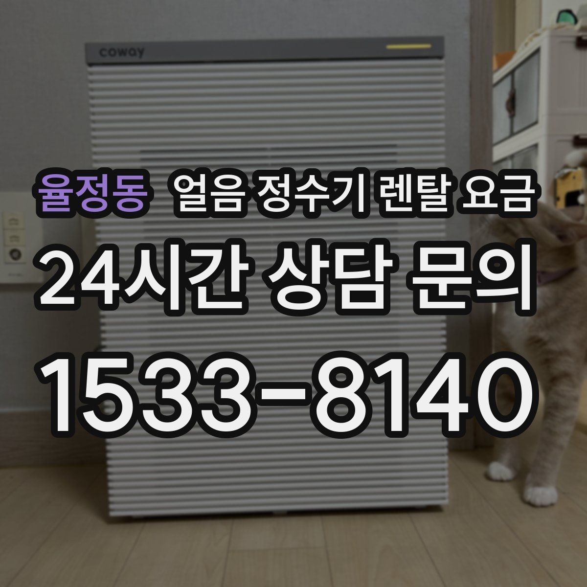율정동 얼음 정수기 렌탈 요금 브랜드 신뢰도 확인하는 방법