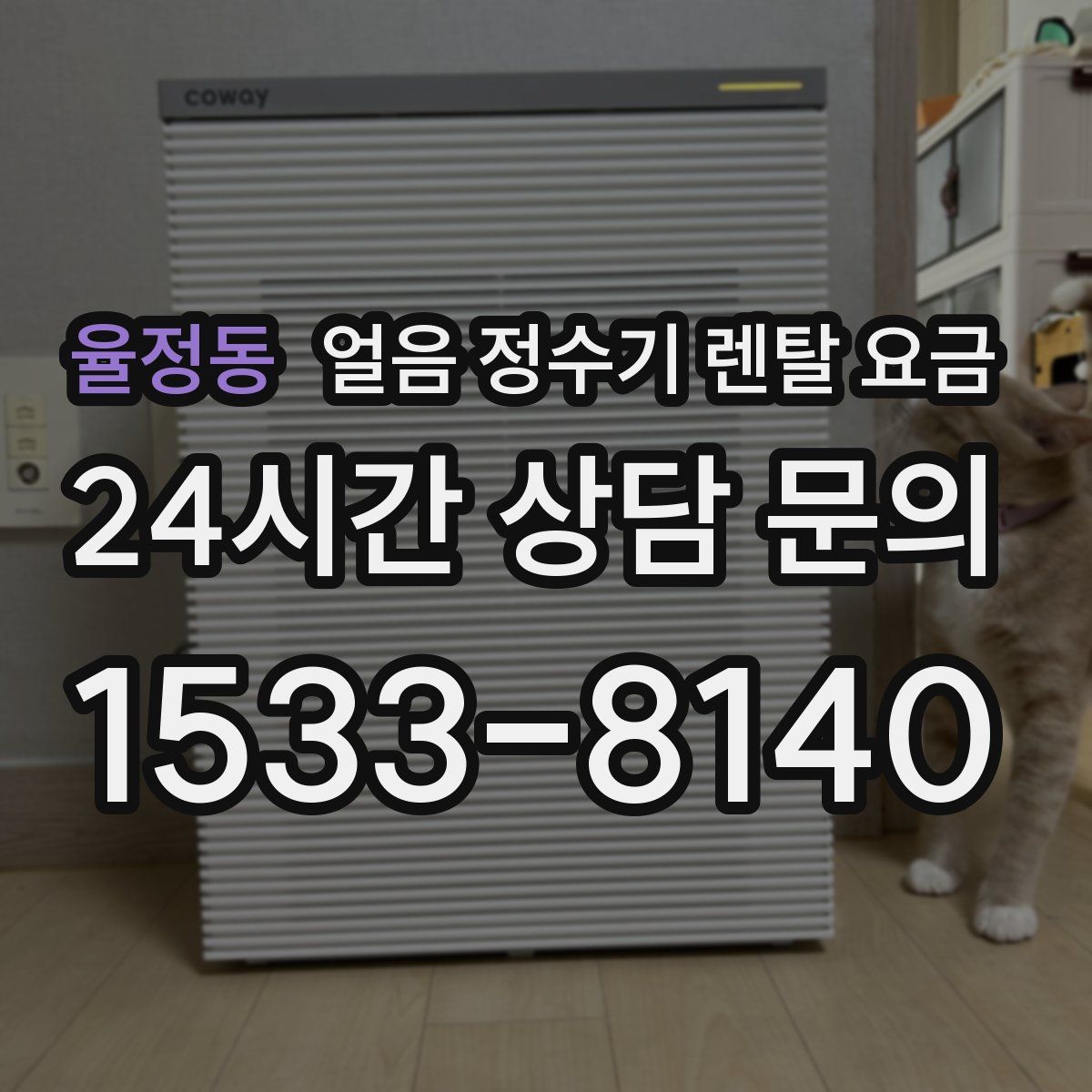 율정동 얼음 정수기 렌탈 요금