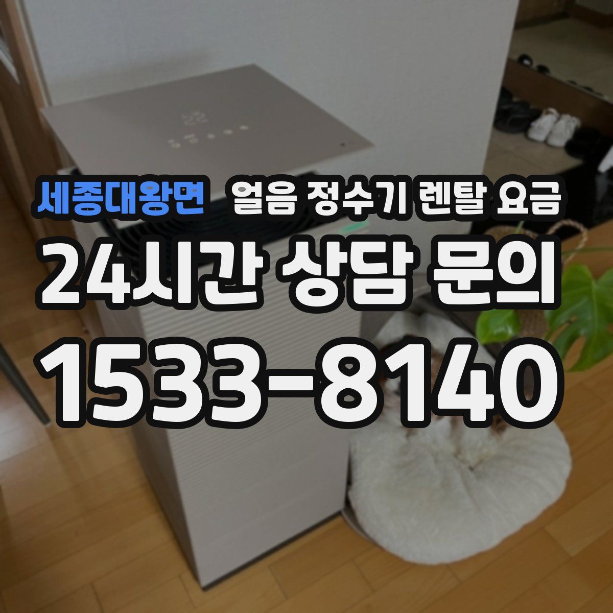세종대왕면 얼음 정수기 렌탈 요금