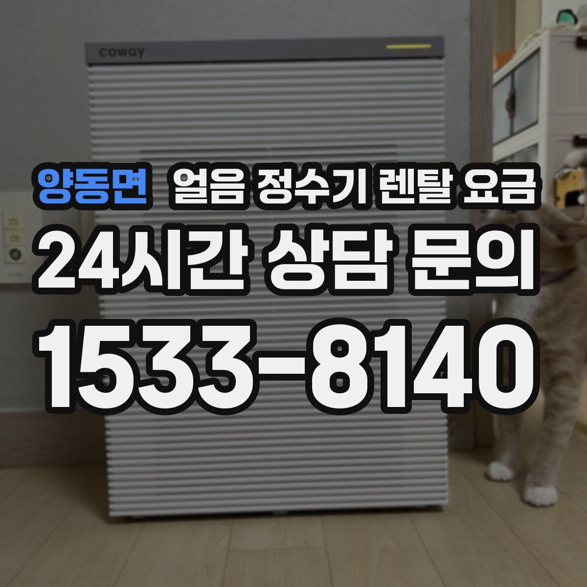 양동면 얼음 정수기 렌탈 요금