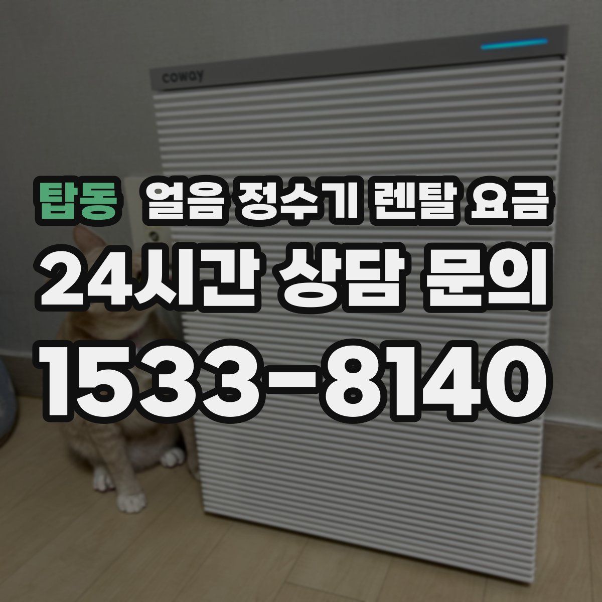 탑동 얼음 정수기 렌탈 요금