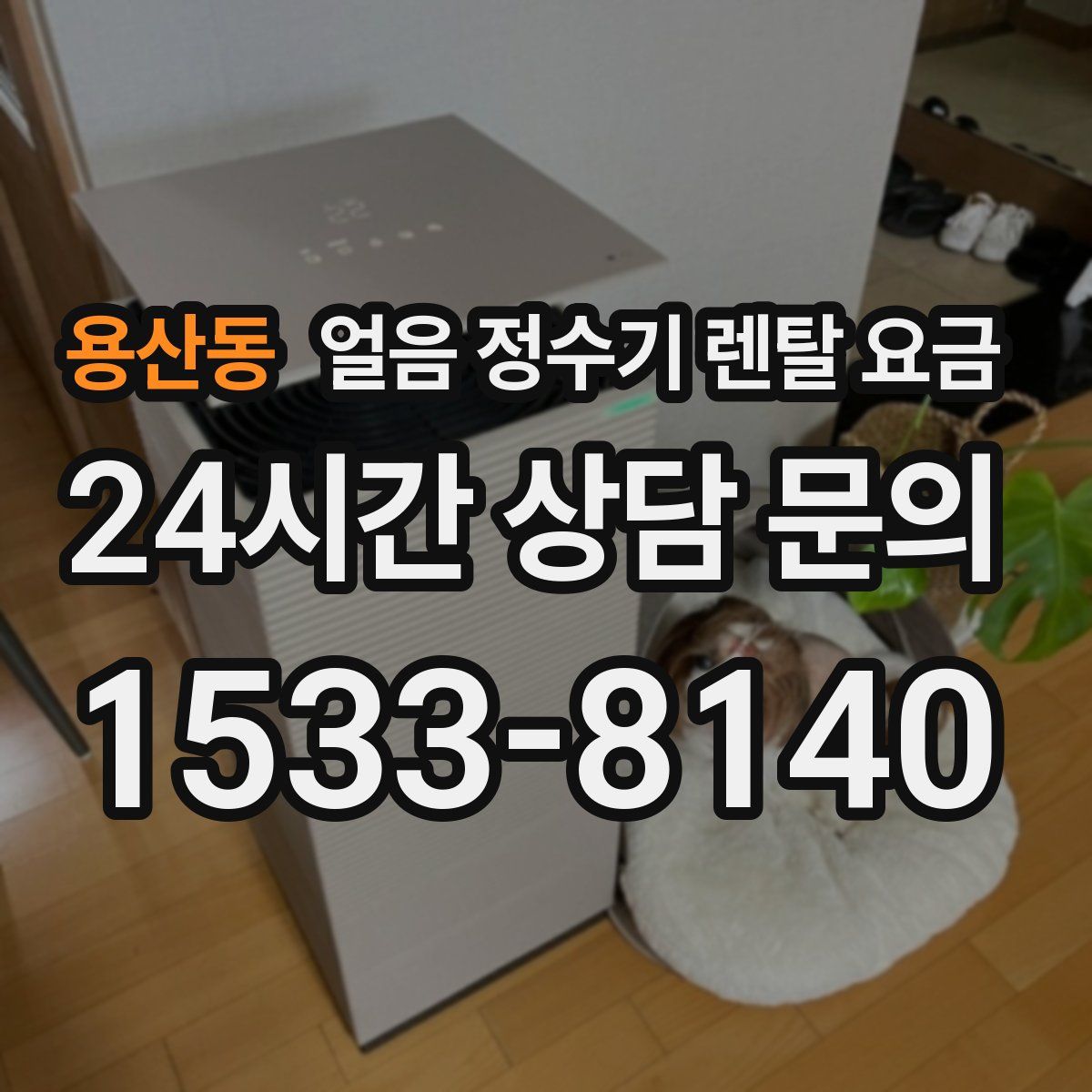 용산동 얼음 정수기 렌탈 요금