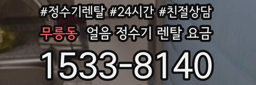 무릉동 얼음 정수기 렌탈 요금