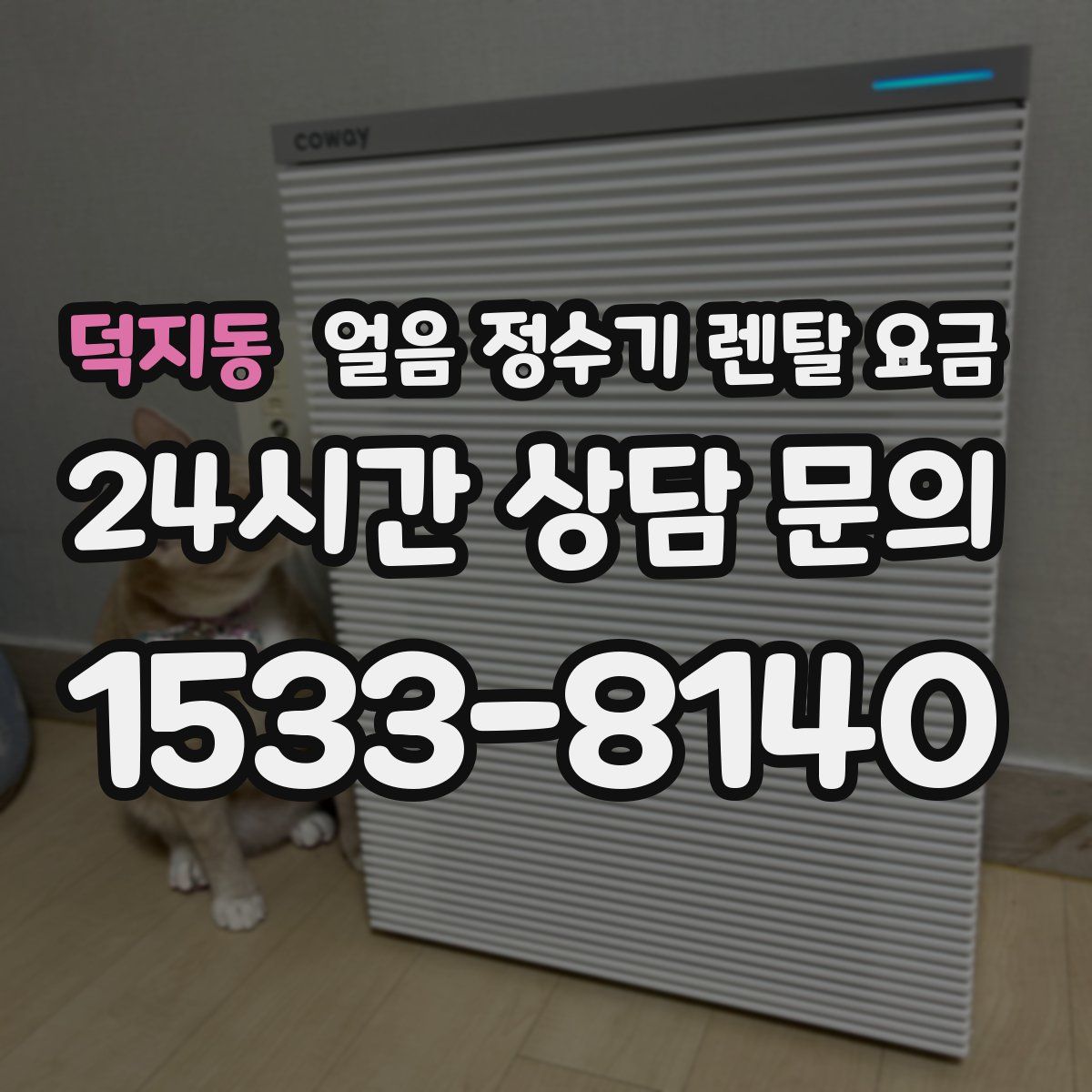 덕지동 얼음 정수기 렌탈 요금