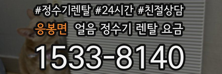 응봉면 얼음 정수기 렌탈 요금