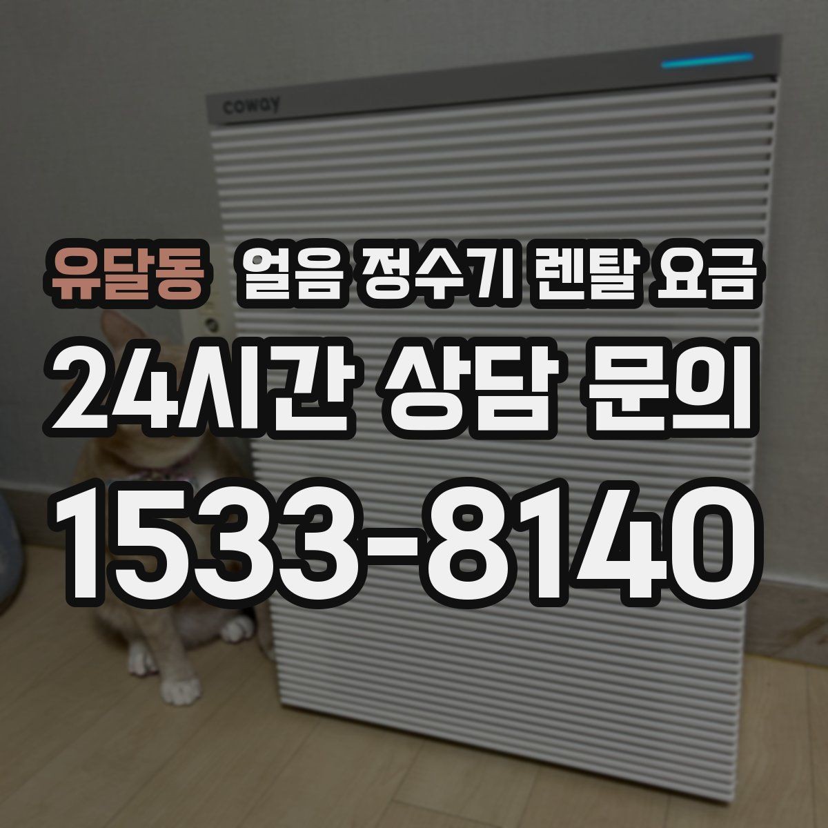 유달동 얼음 정수기 렌탈 요금 렌탈료와 서비스 함께 보는 방법