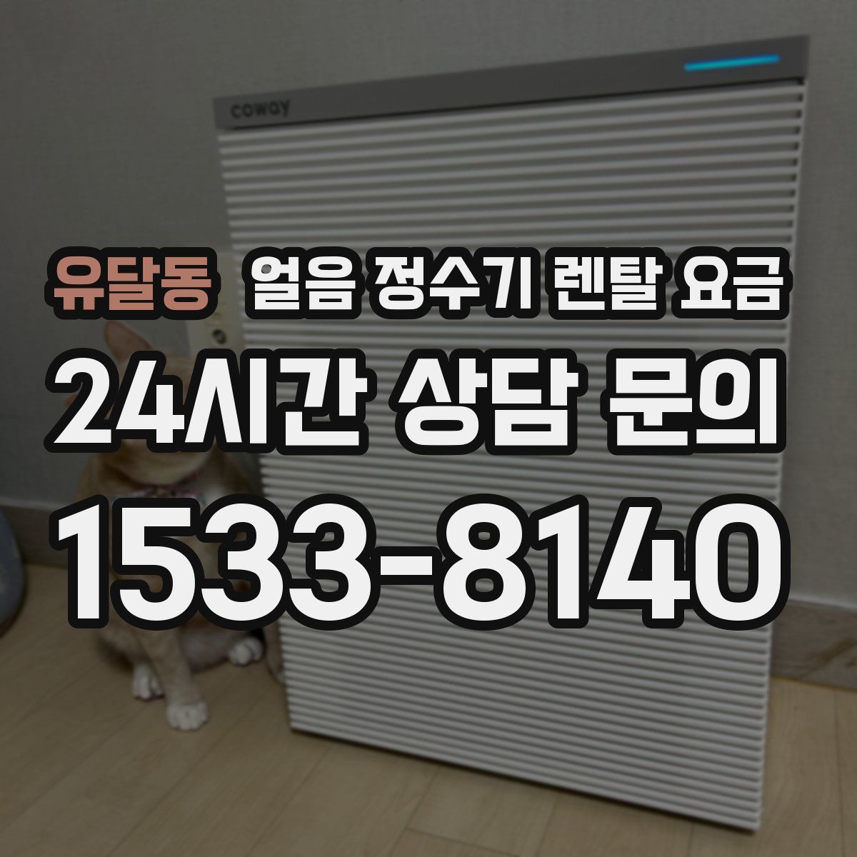 유달동 얼음 정수기 렌탈 요금